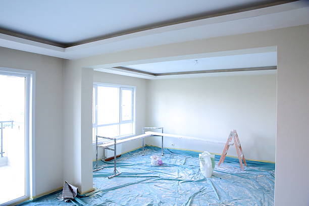 Best Repainting for Renovations  in Overlea, MD